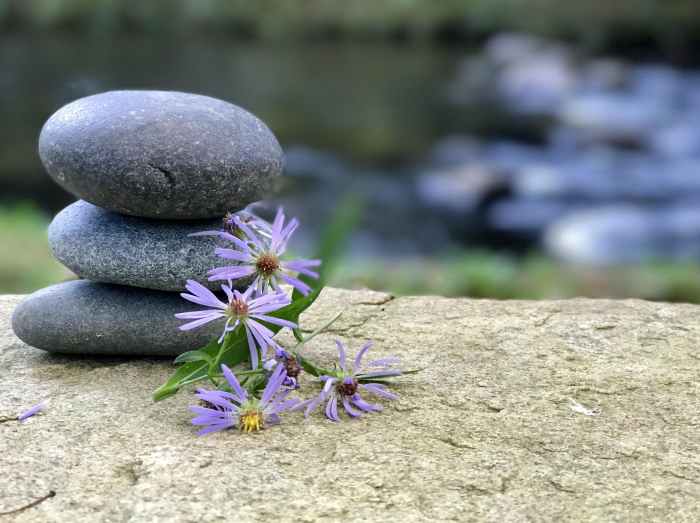 Mindfulness wellness retreats