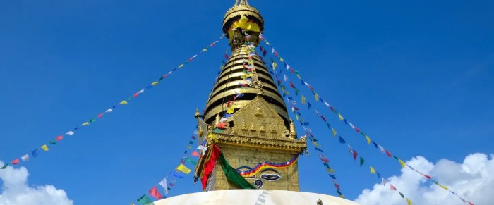 Local culture exploration tours